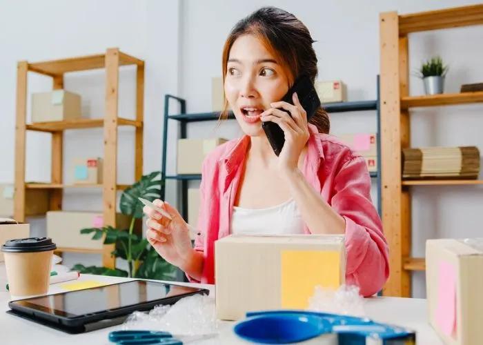 Analisis Peluang Bisnis Online 2025 Risiko dan Keuntungan